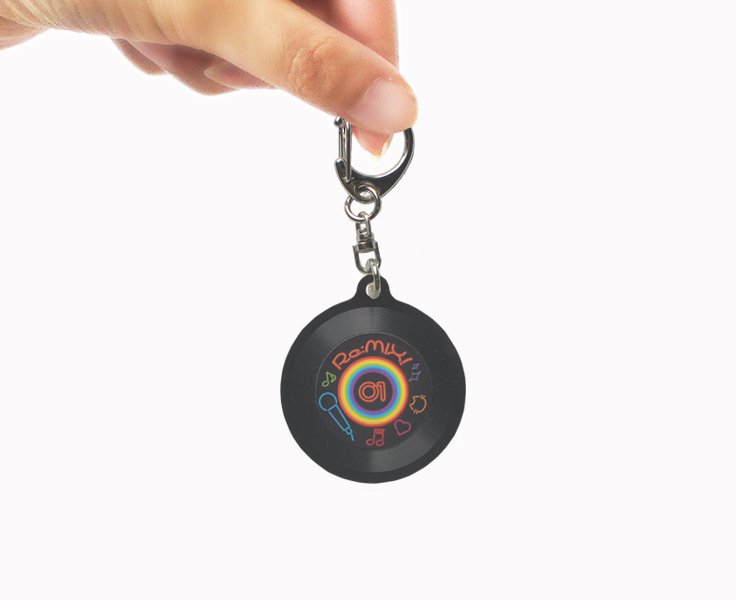 レコードキーホルダー（ナスカン）